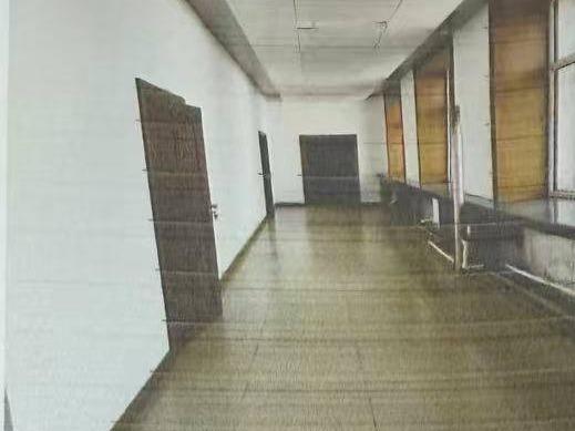 省交通运输综合行政执法局66处房产及车库分别招租交易公告