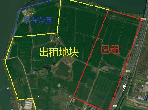 台啤地块土地招租公告