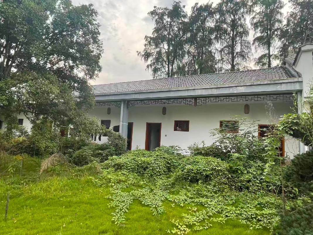 青阳县原杨田苗圃土地及房屋出租公告(国资监测编号GR2025AH2002761)