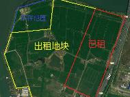 台啤地块土地招租公告