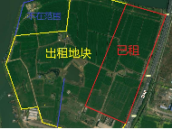 台啤地块土地招租公告