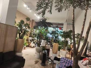 西林县八达镇鲤城新区福宁佳苑第F2栋1层107号商铺转让公告
