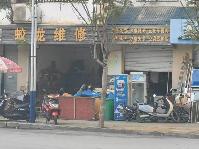 西林县八达镇鲤城新区福宁佳苑第E12栋1层103号商铺转让公告