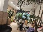 西林县八达镇鲤城新区福宁佳苑第F2栋1层107号商铺转让公告