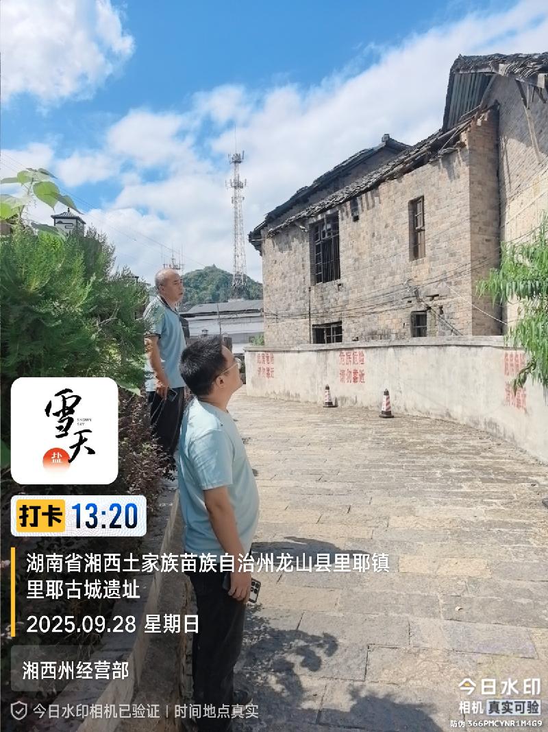 湘西州龙山县里耶镇建设街96号等2套房屋和土地使用权。其中:房屋(建筑面积575.53平方米),土地使用权1宗(面积为913.74平方米)(国资监测编号GR2025HN1002646)