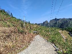 河池市天峨县坡结乡龙凤村龙凤屯约60亩果园经营权流转项目