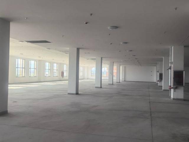 海南区拉僧仲京藏高速公路西中蒙俄特色贸易区1-2层冷库及附属办公区域整体招租(国资监测编号GR2025NM1007461-7)