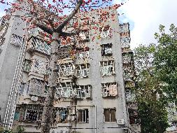 珠海市香洲区拱北岭南路39号101房住宅转让公告(国资监测编号GR2025AH2002856)
