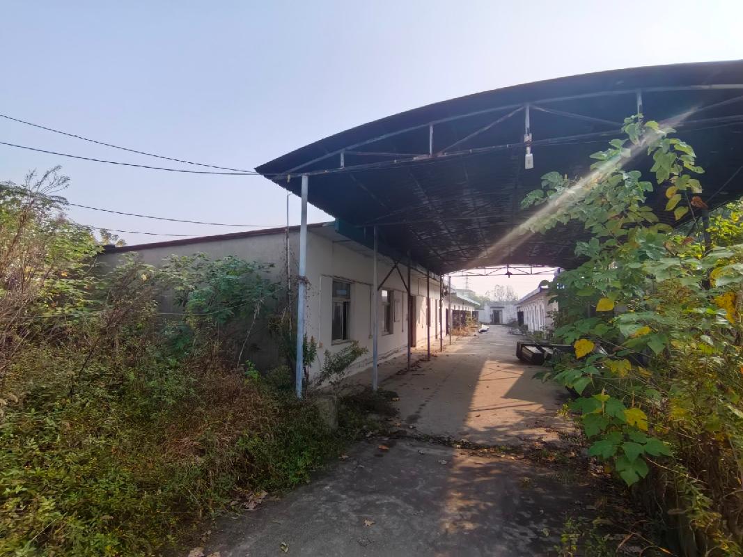 无为市姚沟镇人民政府拟拆除无为市姚沟镇南湖村厂房及附属物残值转让公告(国资监测编号GR2025AH2002861)