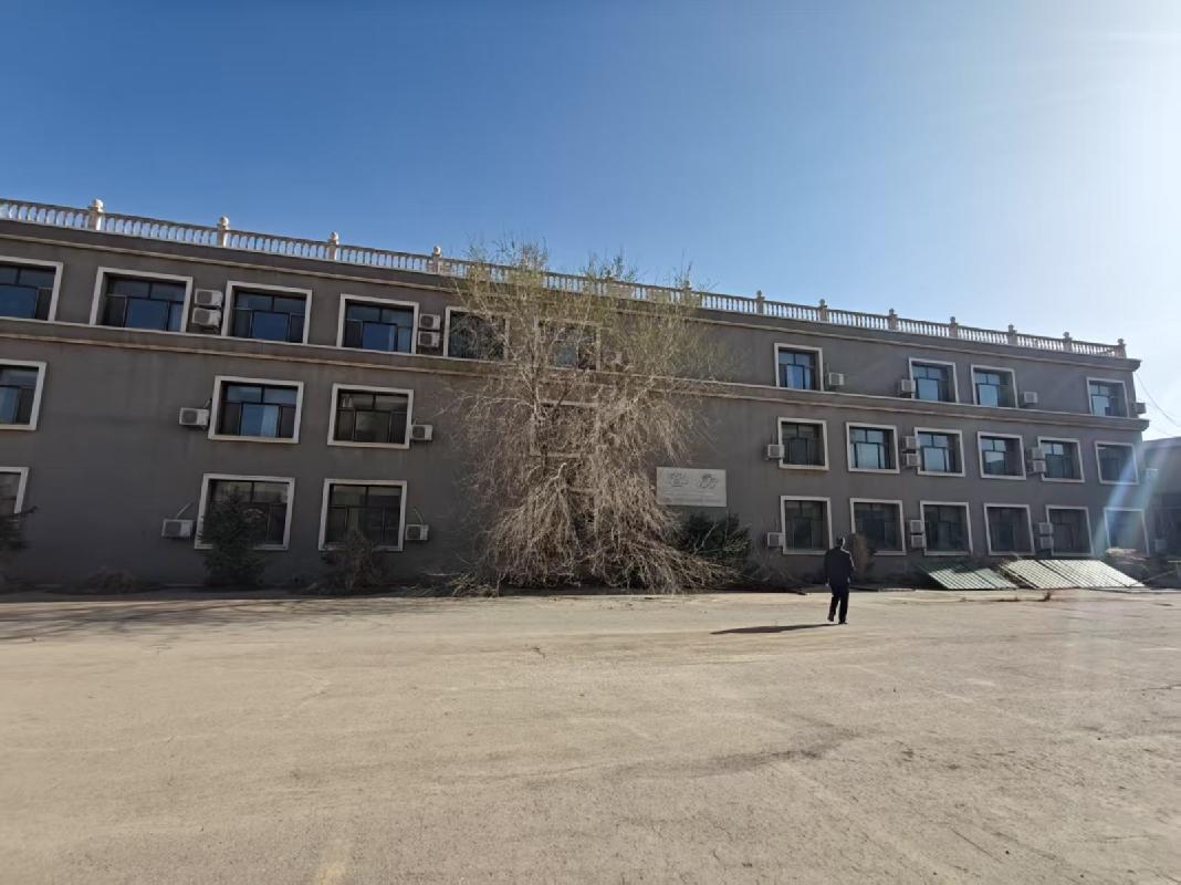 巴彦淖尔市临河区解放办解放西街北侧抵债资产（原和泰卢福宫1、2号资产）(二次挂牌)