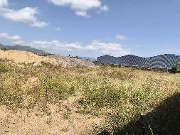 凉城县鸿茅镇西厢、凉城县食品（药品）产业示范基地一处土地使用权公开转让(凉城县人民政府国有资产监督管理委员会)(国资监测编号GR2025NM1007475)