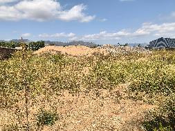 凉城县鸿茅镇西厢、凉城县食品（药品）产业示范基地一处土地使用权公开转让(凉城县人民政府国有资产监督管理委员会)(国资监测编号GR2025NM1007475)