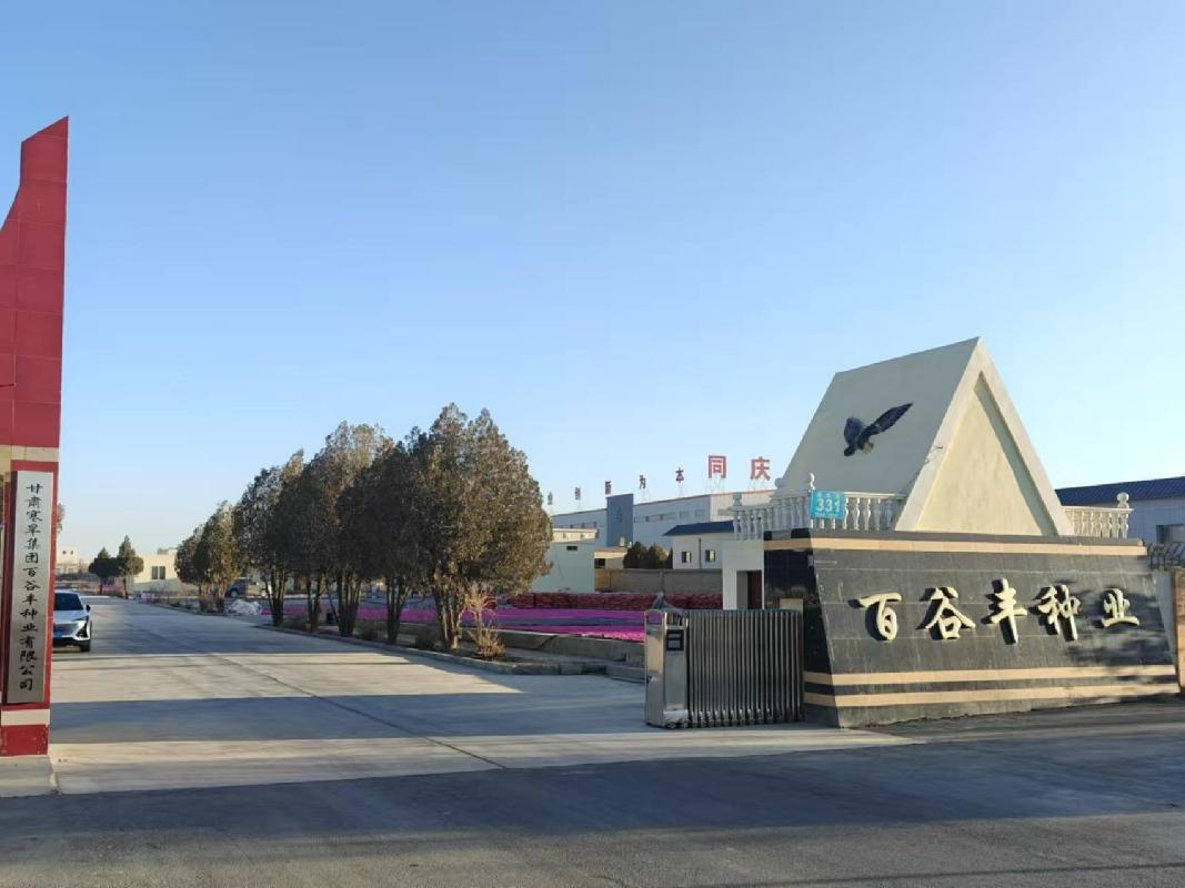 甘肃寒旱集团百谷丰种业有限公司38.2%股权转让预披露公告