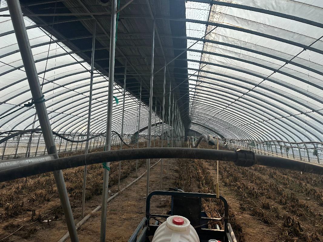 巴彦淖尔市临农农牧业发展有限公司约8328.5850亩土地经营权转让项目(国资监测编号GR2025NM1007615)