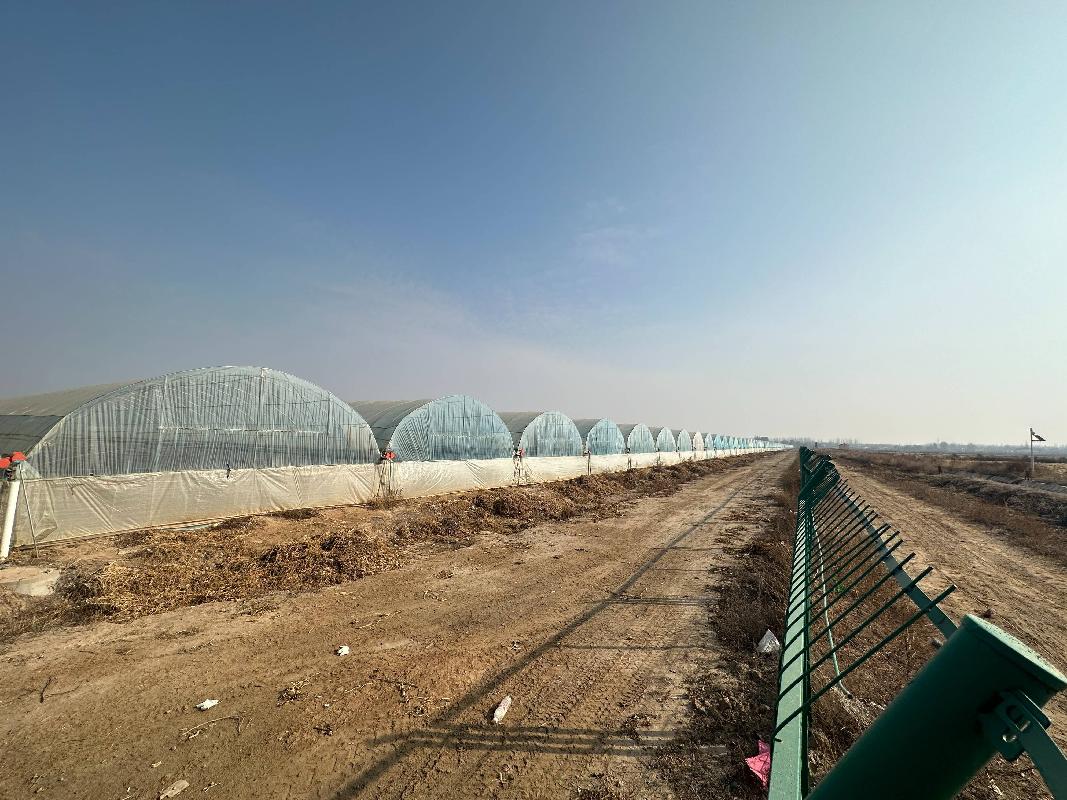 巴彦淖尔市临农农牧业发展有限公司约8328.5850亩土地经营权转让项目(国资监测编号GR2025NM1007615)