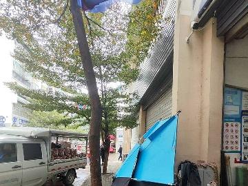 西林县八达镇鲤城新区福宁佳苑第F2栋1层103号商铺转让公告