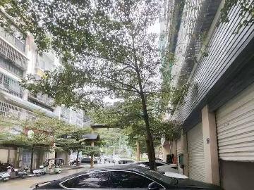 西林县八达镇鲤城新区福宁佳苑第F2栋1层103号商铺转让公告