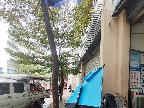 西林县八达镇鲤城新区福宁佳苑第F2栋1层103号商铺转让公告