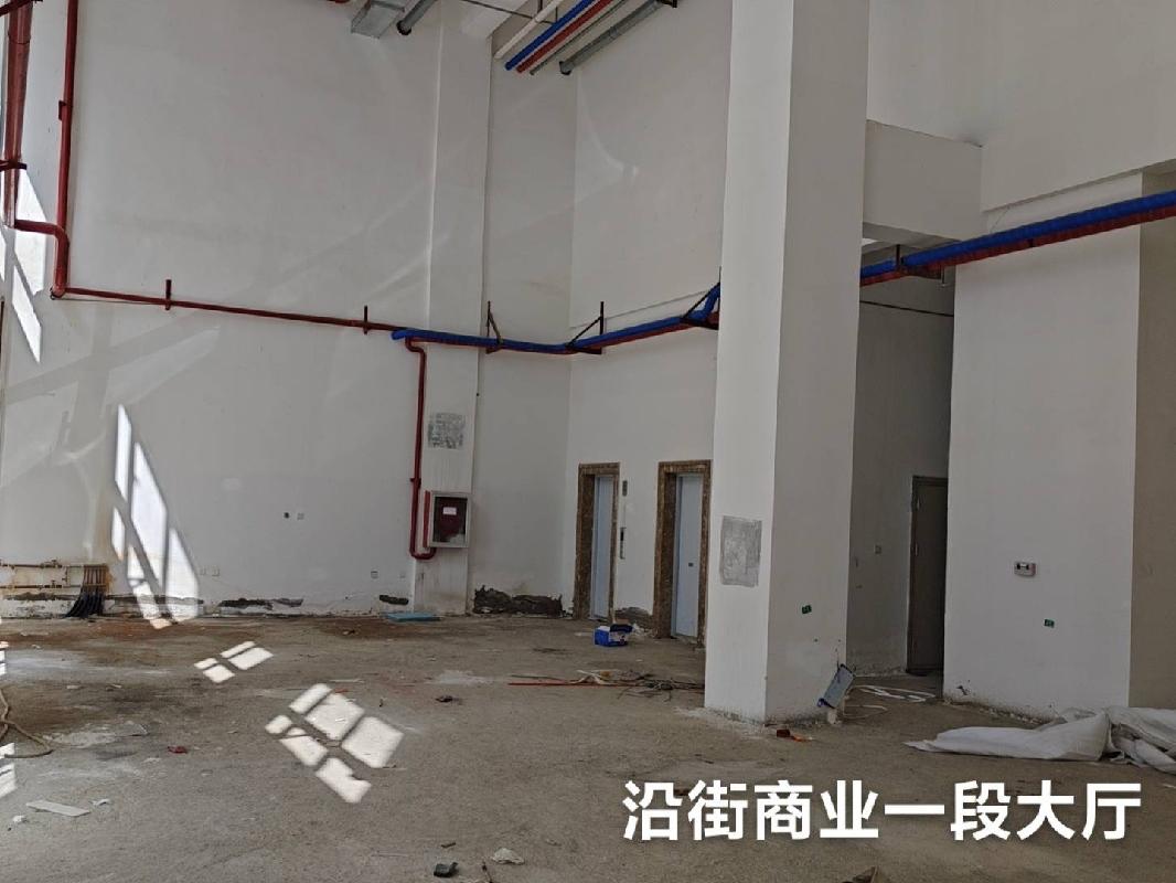 金川开发区金川文化广场西金川科技园商住小区沿街商业3-1003出租（挂牌价为首年租金，含税，租期2年）(国资监测编号GR2025NM1007693)