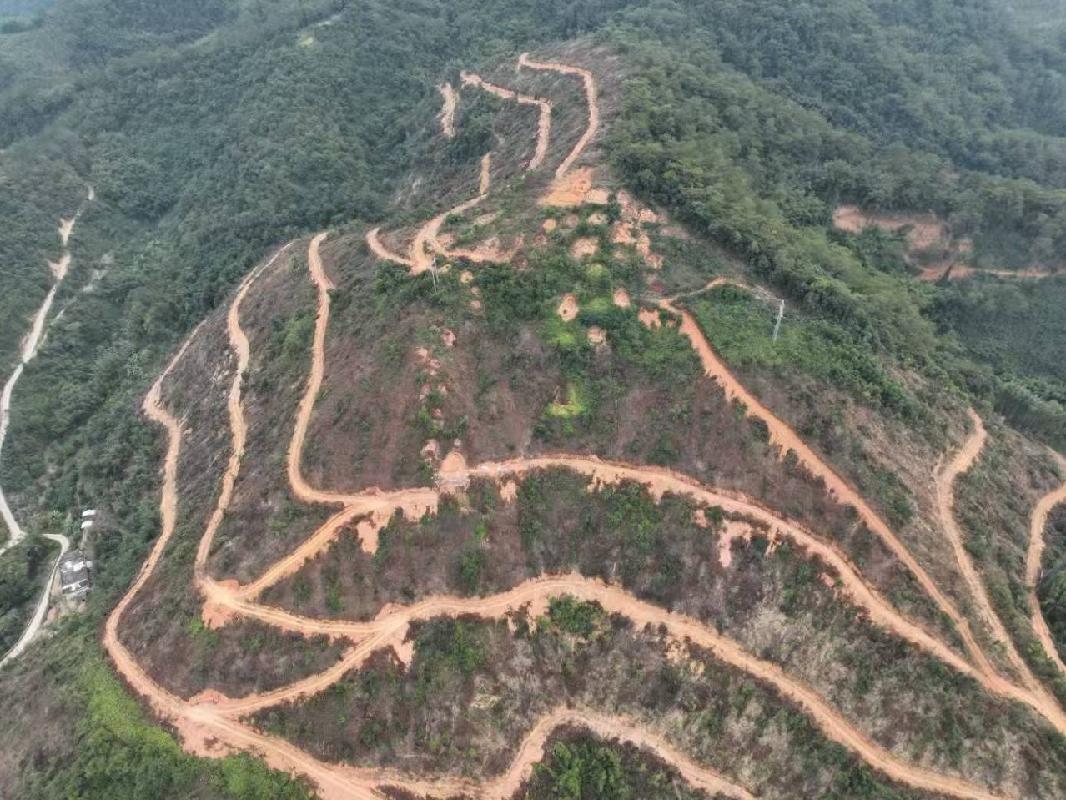 岑溪市岑城镇六凡村集体山庄约238.6亩林地（小地名：崩边马黄泥笃）经营权流转项目
