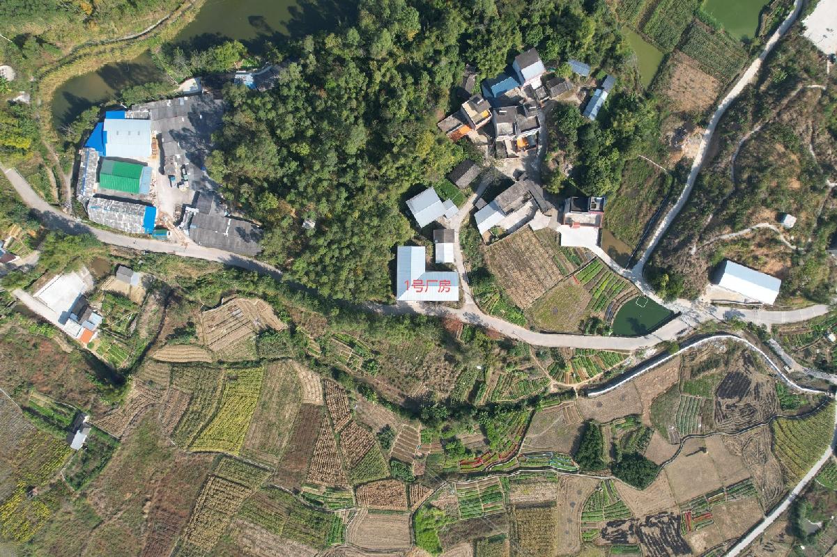 蒙山县蒙山镇城西村桑蚕园区招租项目