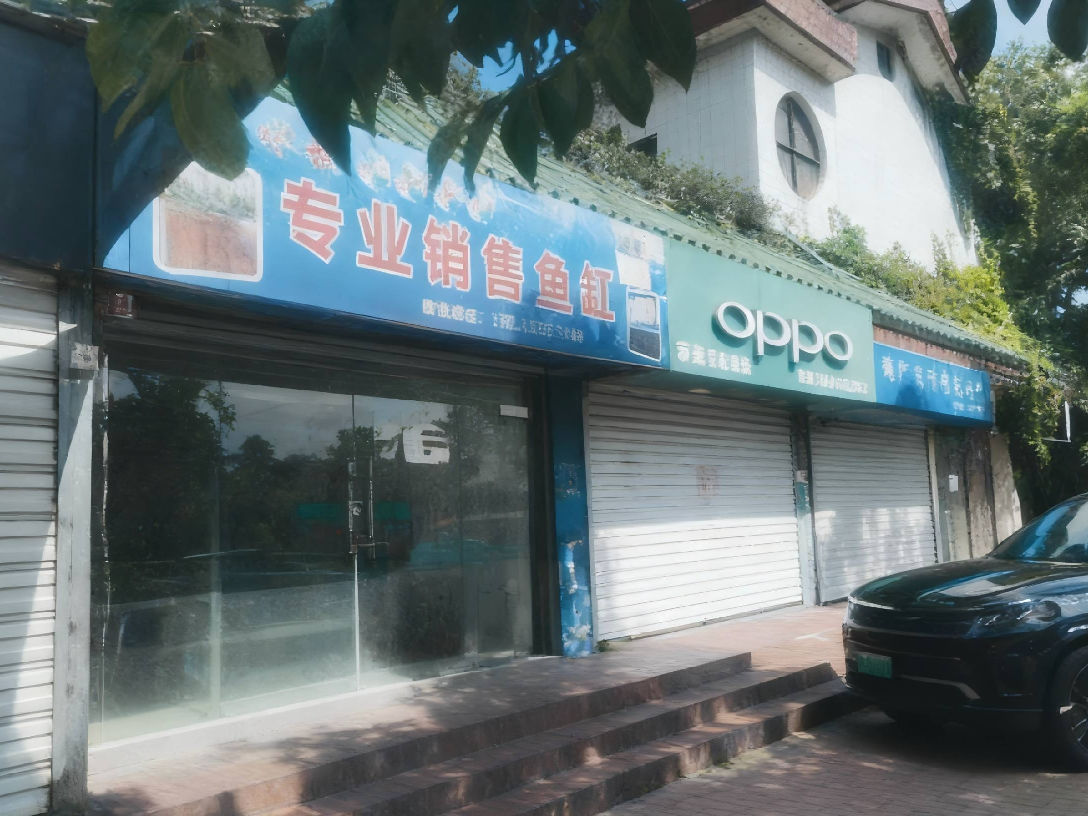 西长街住建局楼底1号商铺招租公告