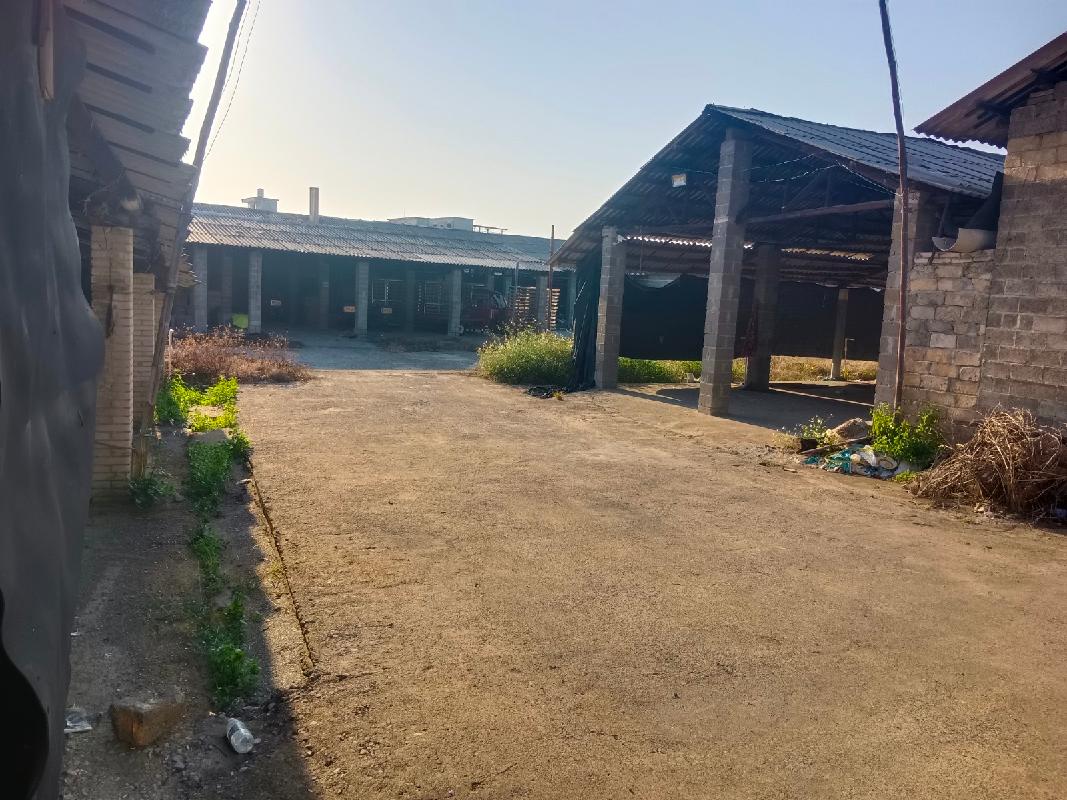 桂平市金田镇田江村2000平方米简易厂房招租项目