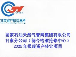 国家石油天然气管网集团有限公司甘肃分公司（德令哈维抢修中心）2025年报废资产转让公告(国资监测编号GR2025GS1002617)