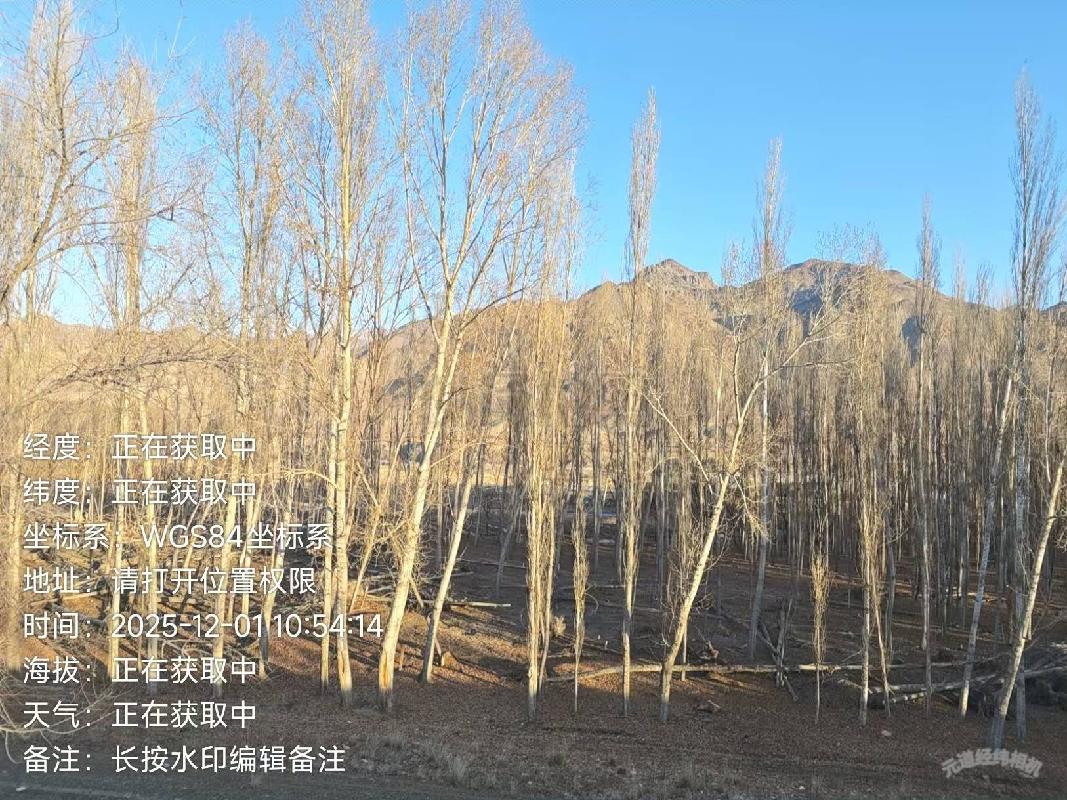 伊犁州特克斯马场农牧发展有限责任公司位于特克斯马场原五连河坝45-25地块约4.6公顷杨树对外转让