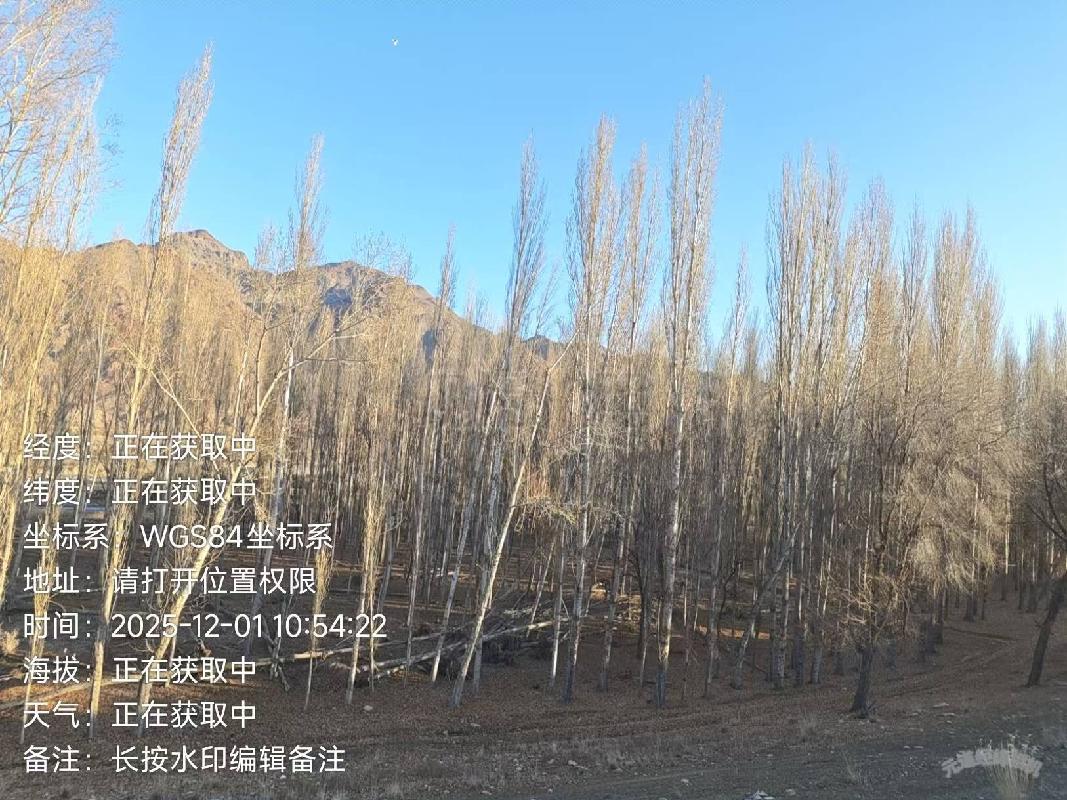 伊犁州特克斯马场农牧发展有限责任公司位于特克斯马场原五连河坝45-25地块约4.6公顷杨树对外转让