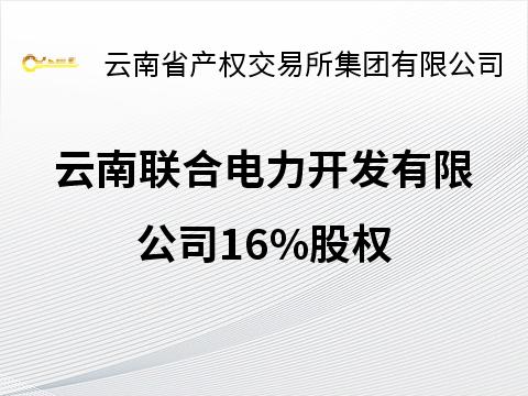 云南联合电力开发有限公司16%股权