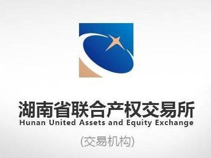 对衡阳市方景房地产开发有限责任公司等7户债权资产包