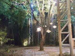 红梅公园内鸟语林招租公告