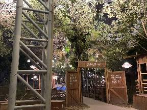 红梅公园内鸟语林招租公告