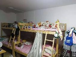 广东深圳福田区京海花园19E房产招租公告(国资监测编号GR2025JS4007698)