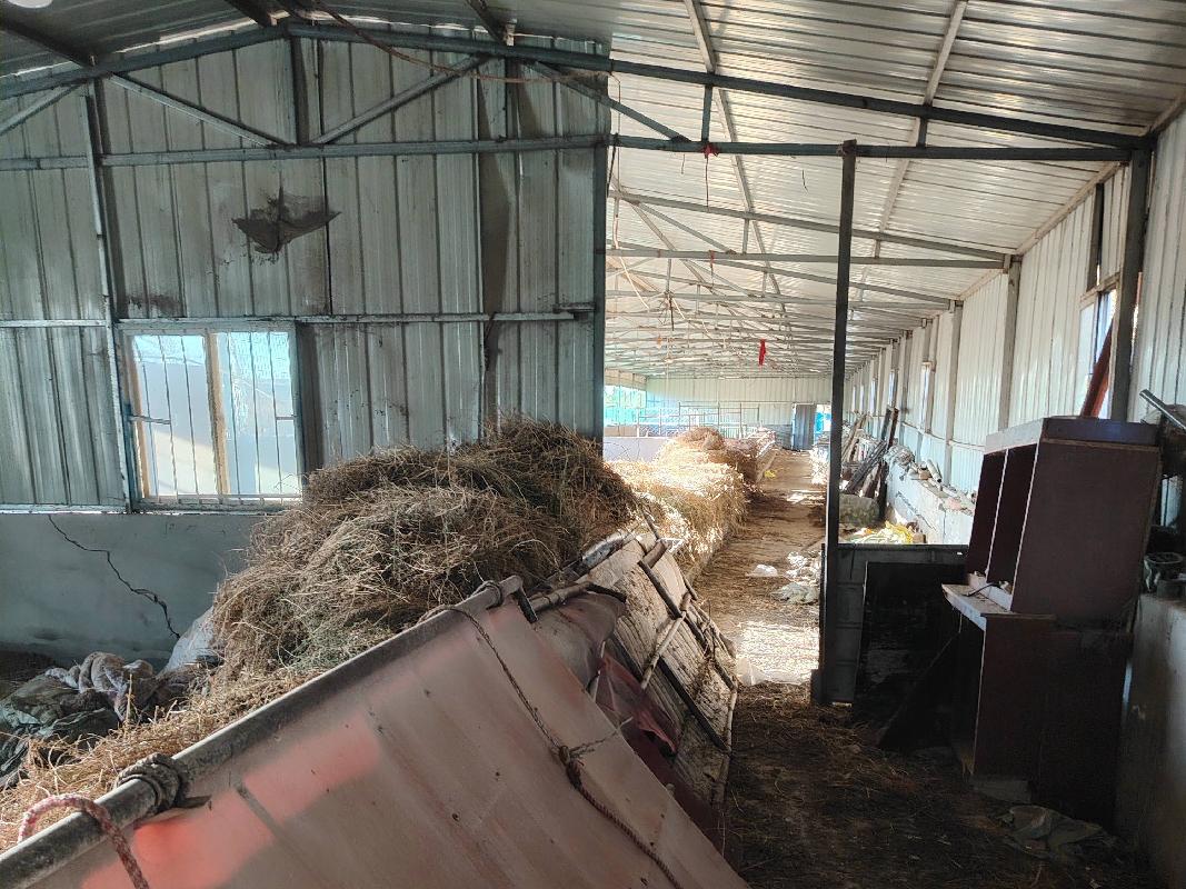 位于清水河县城关镇贾家湾村的地上房屋建筑物、构筑物（占地面积约1703.95平方米，地上建筑物面积约1099.7平方米）转让