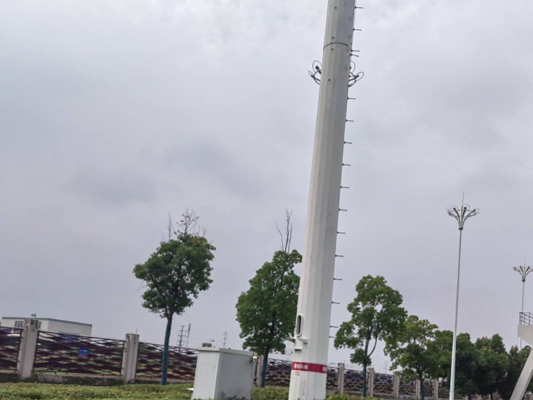 安徽工程大学本部及国际工程师学院校区12处通讯基站场地出租公告(国资监测编号GR2025AH2003077)