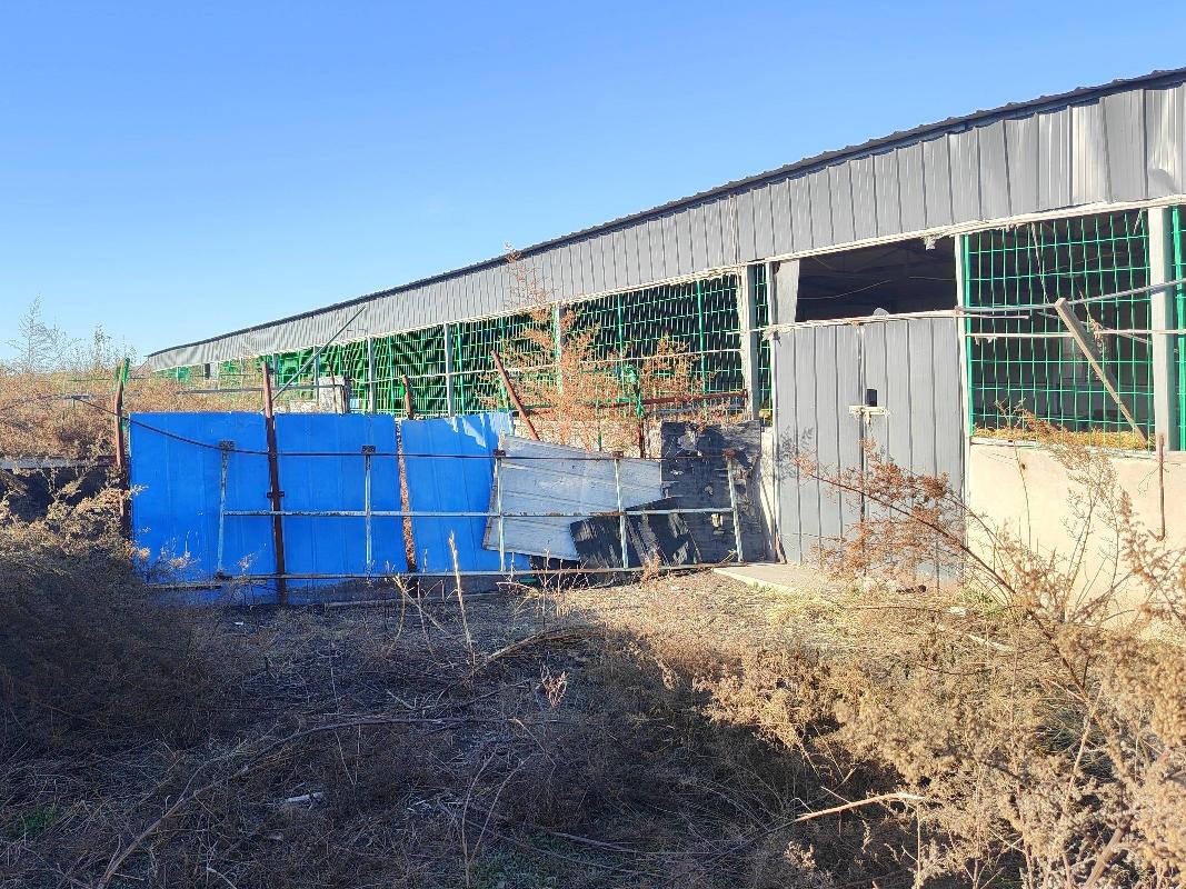 位于清水河县城关镇贾家湾村的地上房屋建筑物、构筑物（占地面积约1703.95平方米，地上建筑物面积约1099.7平方米）转让