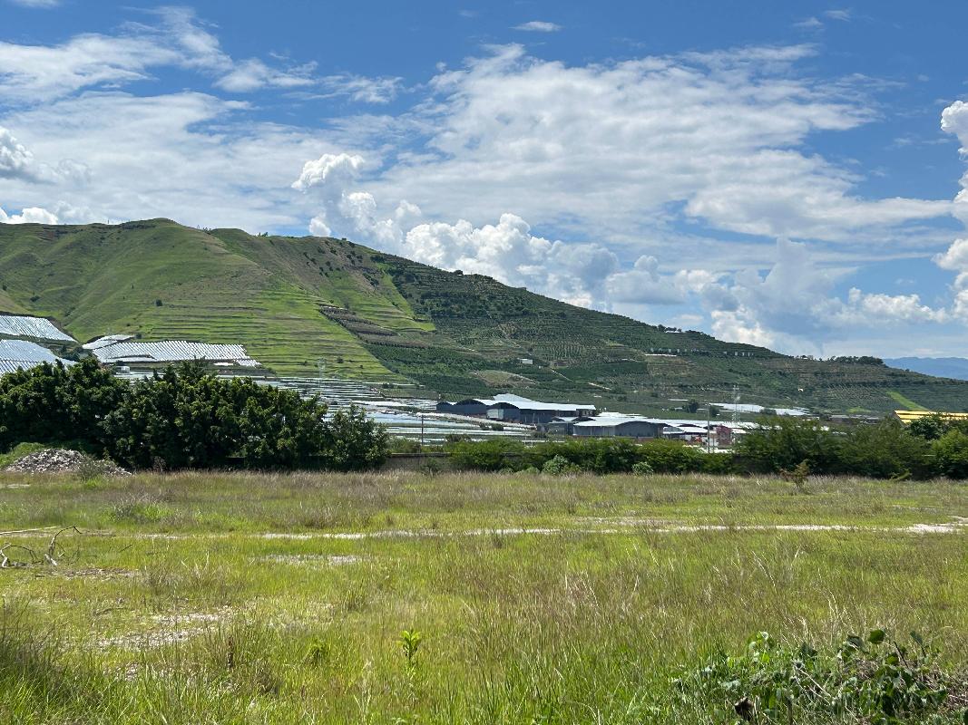云南水泥建材集团有限公司大丰基地资产(二次挂牌)(国资监测编号GR2025YN1001523-2)