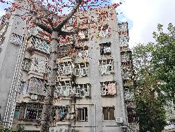 珠海市香洲区拱北岭南路39号101房住宅转让公告（重新挂牌）(国资监测编号GR2025AH2003073)