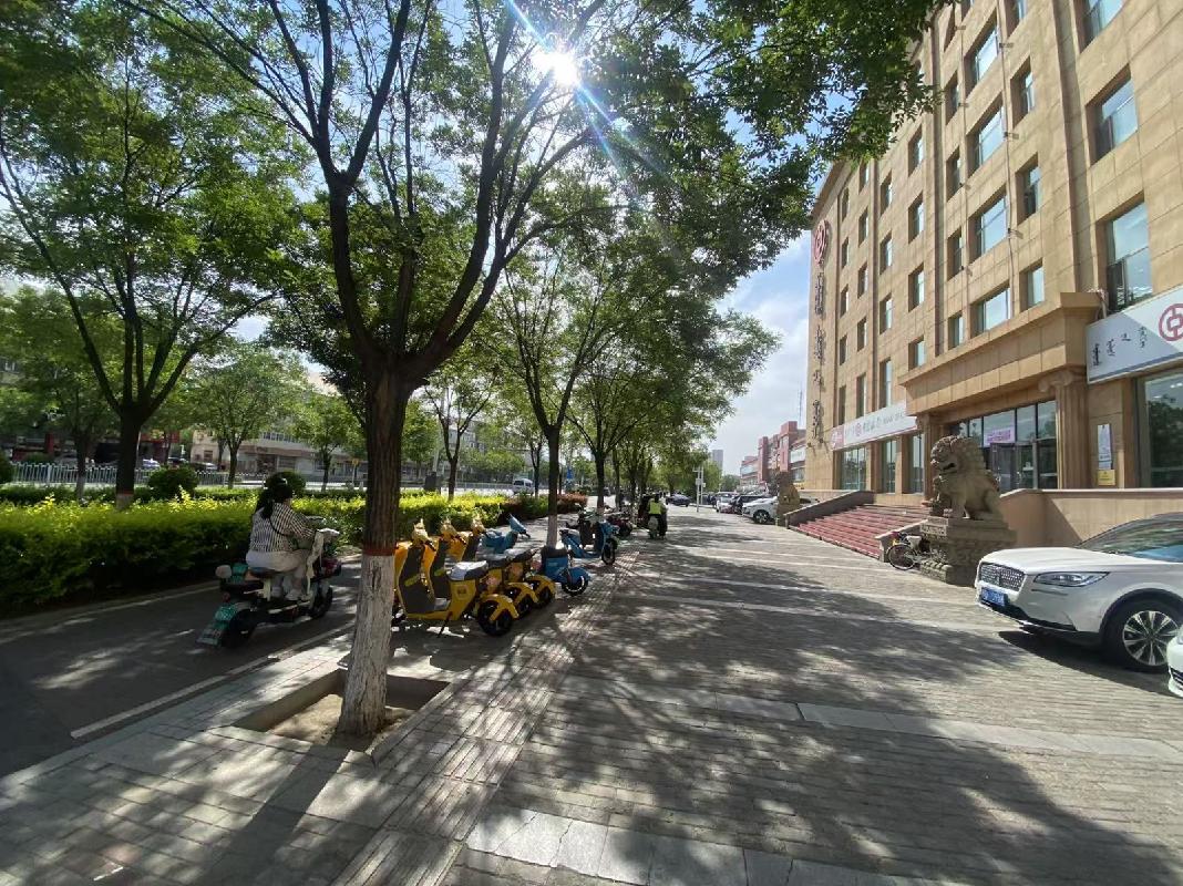 包头市东河区巴彦塔拉大街木材公司院办公用房第四、五、六层房产招租（年租金底价412000元/年，租期：5年）（中国银行股份有限公司包头分行）(国资监测编号GR2025NM1007949)