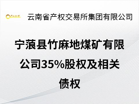 宁蒗县竹麻地煤矿有限公司35%股权及相关债权