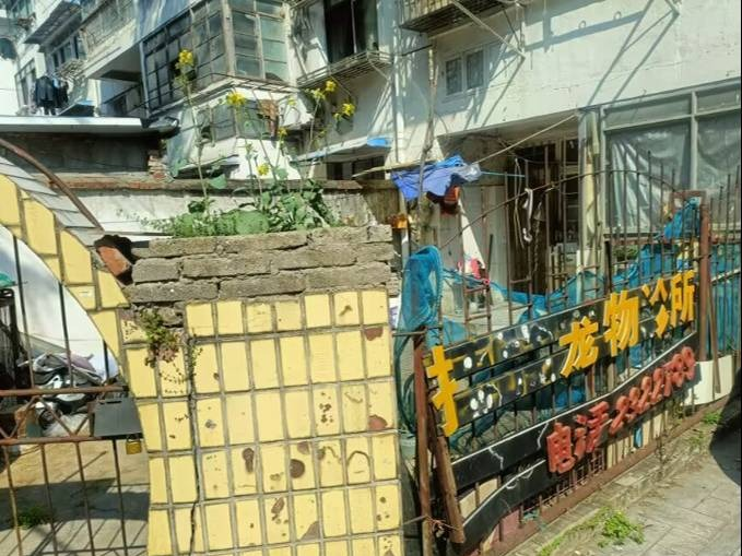 马鞍山市花山区新岗四村9-101号房产转让公告(国资监测编号GR2025AH2003089)
