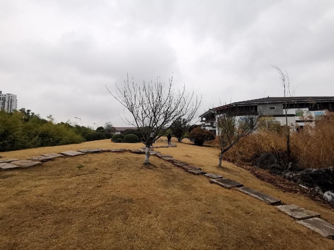常州市武进区嘉泽镇钦风路与茶泽街交叉路口西南侧状元坊桃花源（原状元坊饭店）招租公告(国资监测编号GR2025JS2008080)