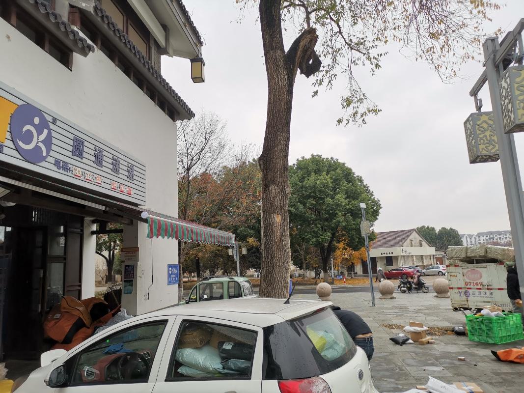 常州市武进区嘉泽镇钦风路与茶泽街交叉路口西南侧状元坊画舫斋105室招租公告(国资监测编号GR2025JS2008084)