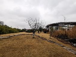 常州市武进区嘉泽镇钦风路与茶泽街交叉路口西南侧状元坊桃花源（原状元坊饭店）招租公告(国资监测编号GR2025JS2008080)