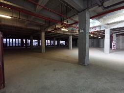 常州市武进区嘉泽镇钦风路与茶泽街交叉路口西南侧状元坊新怡华超市3、4楼招租公告(国资监测编号GR2025JS2008081)