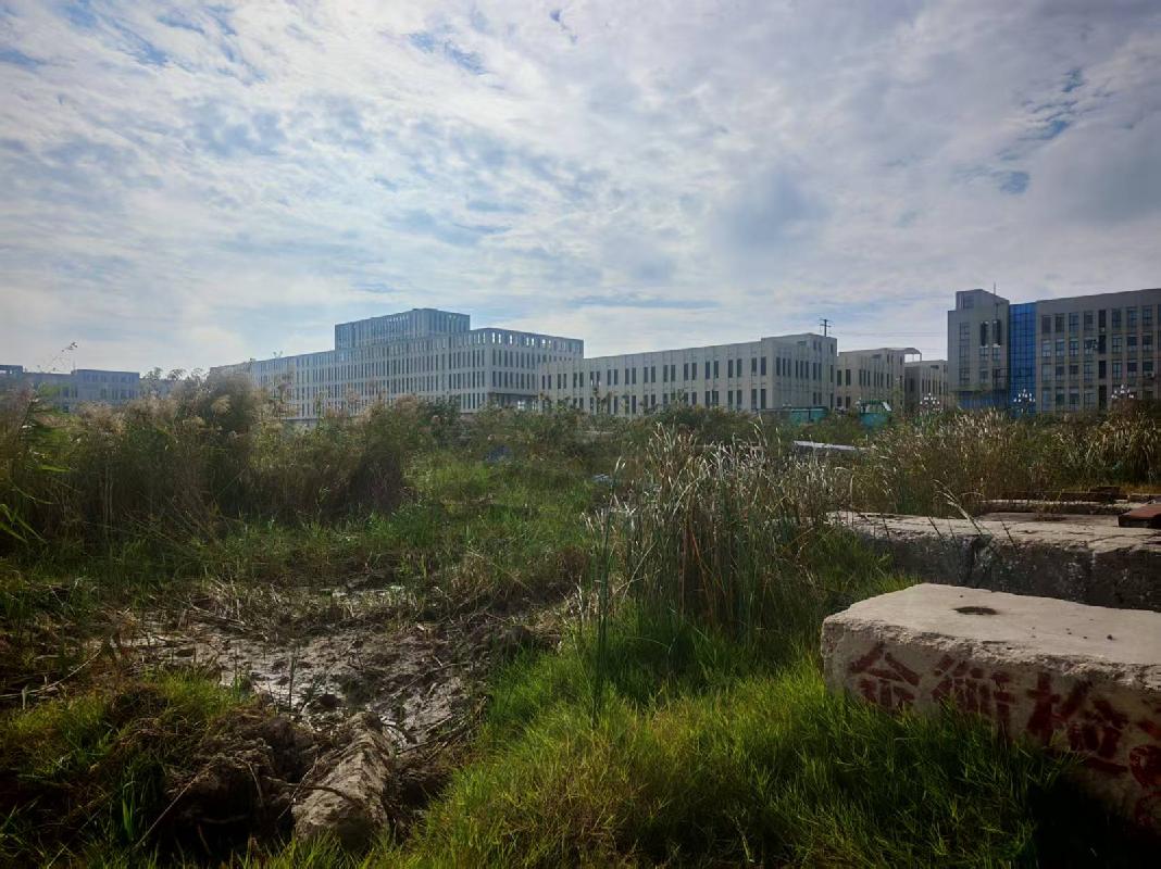 江苏临港经济园投资开发有限公司一处位于泰州医药高新区（高港区）口岸街道友谊港路 198 号工业土地使用权转让(国资监测编号GR2025JS1008241)