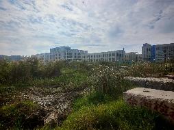 江苏临港经济园投资开发有限公司一处位于泰州医药高新区（高港区）口岸街道友谊港路 198 号工业土地使用权转让(国资监测编号GR2025JS1008241)