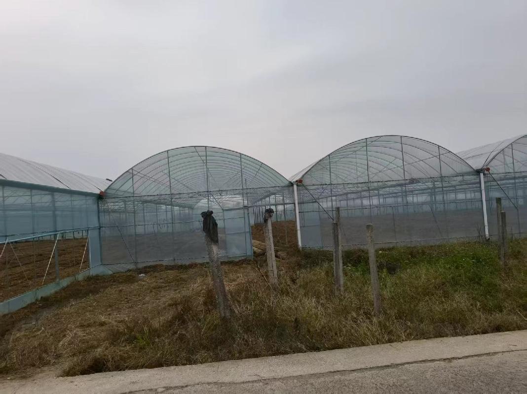 桂林市兴安县湘漓镇普头村委上水西村集体经济大棚招租项目